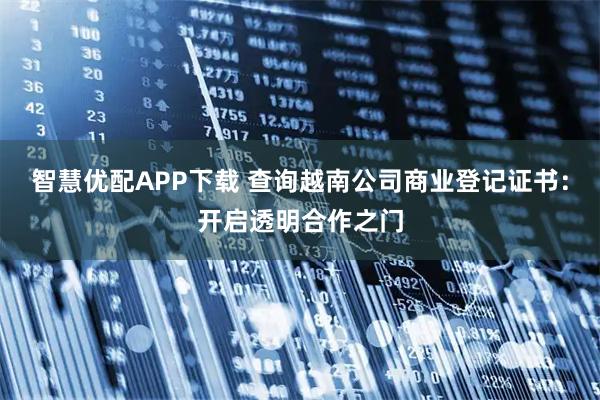 智慧优配APP下载 查询越南公司商业登记证书：开启透明合作之门