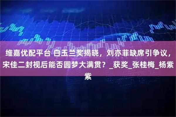 维嘉优配平台 白玉兰奖揭晓，刘亦菲缺席引争议，宋佳二封视后能否圆梦大满贯？_获奖_张桂梅_杨紫